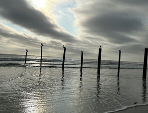 On the beach, sun loungers, beach towels - 3BR/3BA Direct Oceanfront Condo - Magnificent Panoramic View! (daytona beach shores)