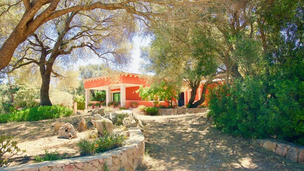 A stone pathway leading to a red building with a covered patio area, surrounded by trees and greenery. - Domos Pintadas Apt. 3 Porto Rotondo (Olbia)