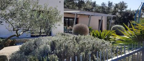 Terrein van de accommodatie