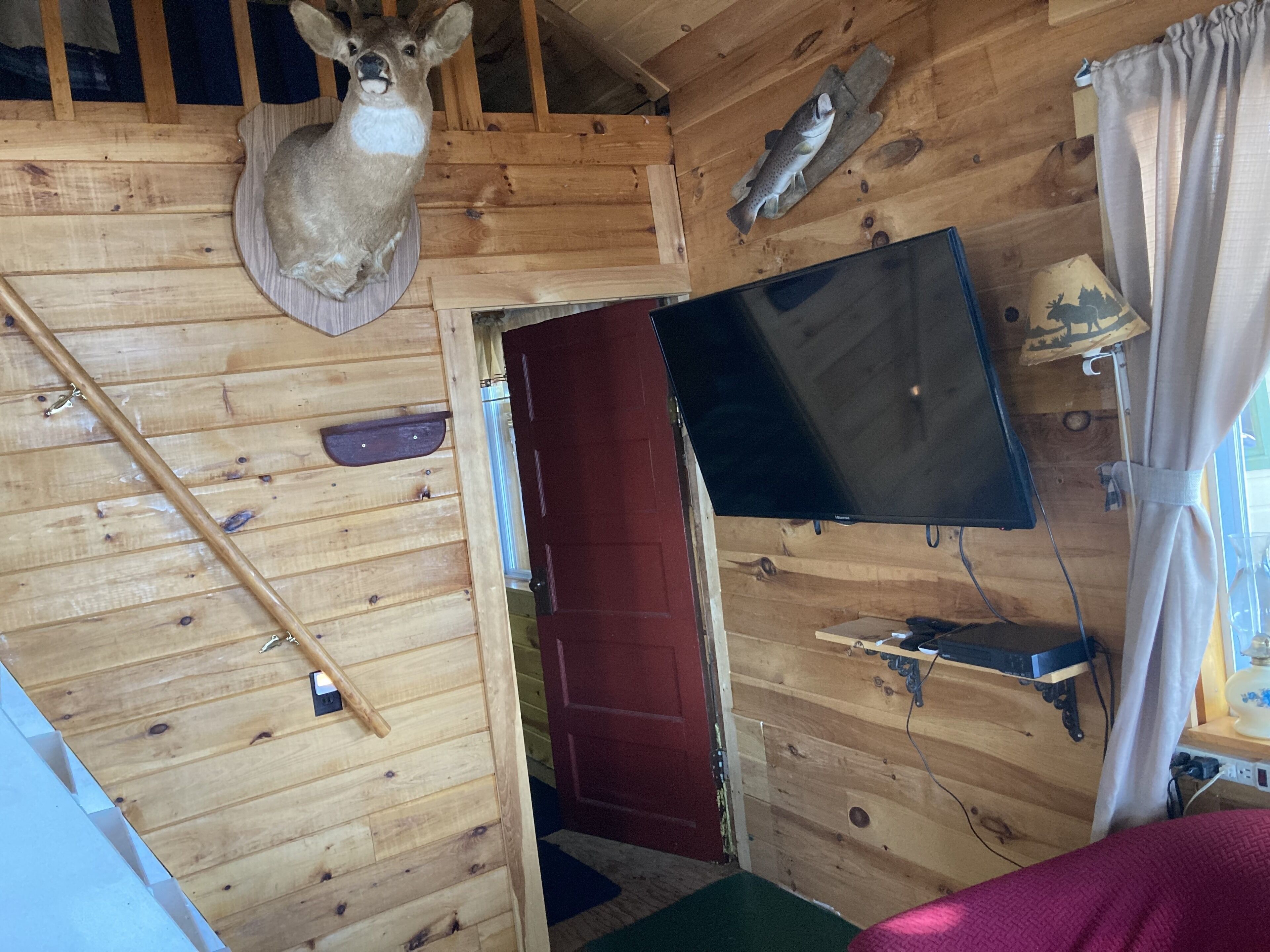 A wooden cabin interior with a mounted deer head, a fish mounted on the wall, a TV, and a red door.