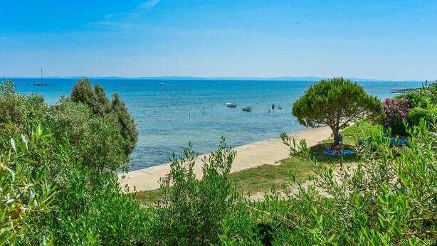 Una playa con barcos, una orilla arenosa y vegetación.