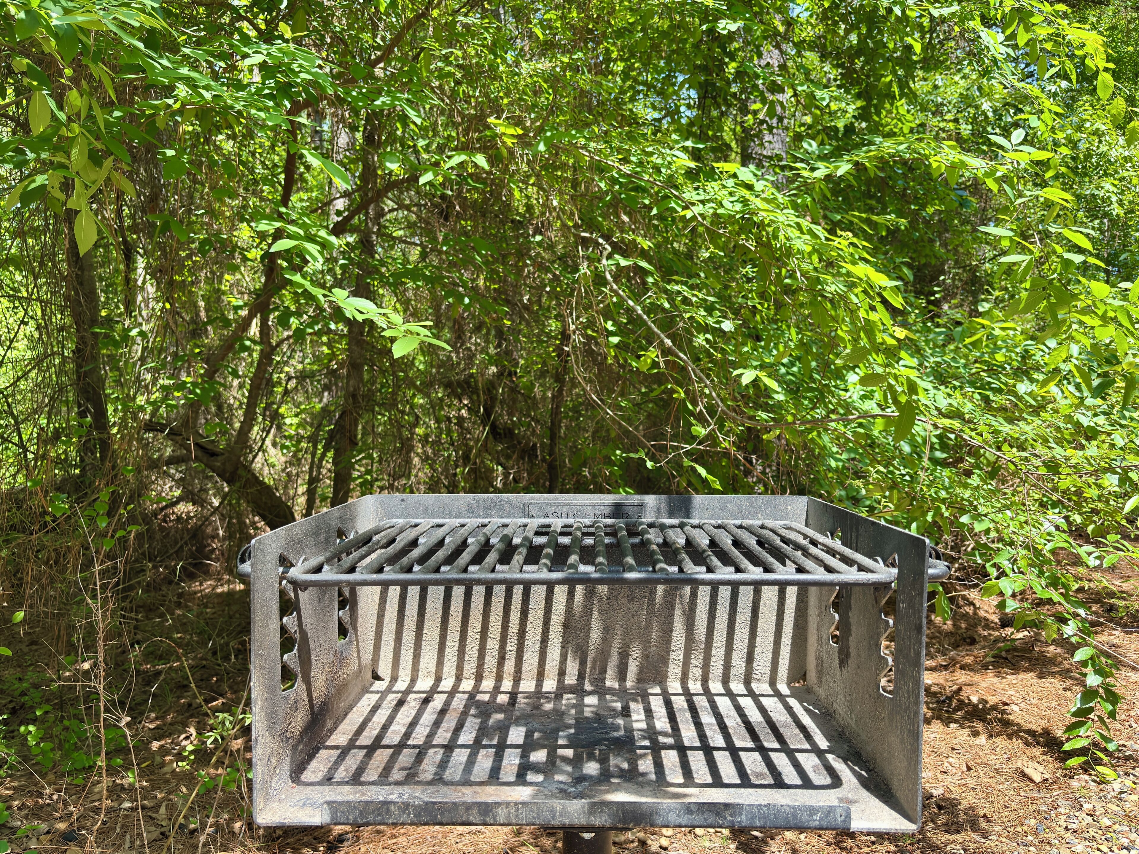 Une grille métallique dans une zone boisée.