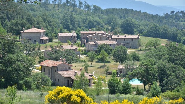 A cluster of stone buildings with red-tiled roofs, surrounded by lush greenery and a clear blue sky. - Villa Nocciola "Lovely cottage in the nature" (Roccalbegna)