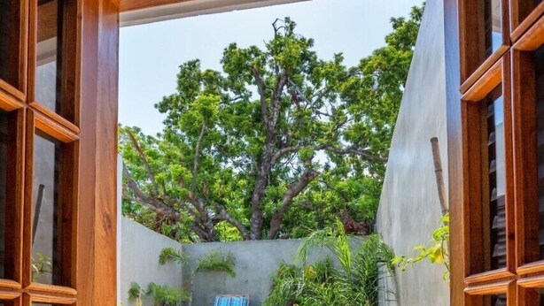 Une porte en bois ouverte donne sur un patio où se trouvent une table et deux chaises, le tout entouré de plantes en pot et offrant une vue sur les arbres.