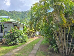 A pathway leading to a building with a green roof, surrounded by lush greenery and palm trees.