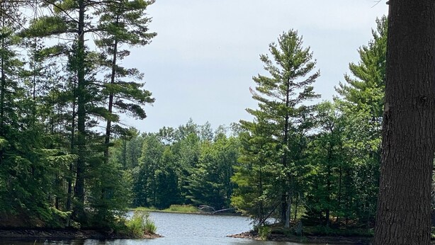 A river with a dock, surrounded by trees and a metal water trough. - Newly Renovated Cabin -dog friendly (Tomahawk)