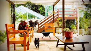 Ein überdachter Patio-Bereich mit Holzmöbeln, einem Hund und Kübelpflanzen.