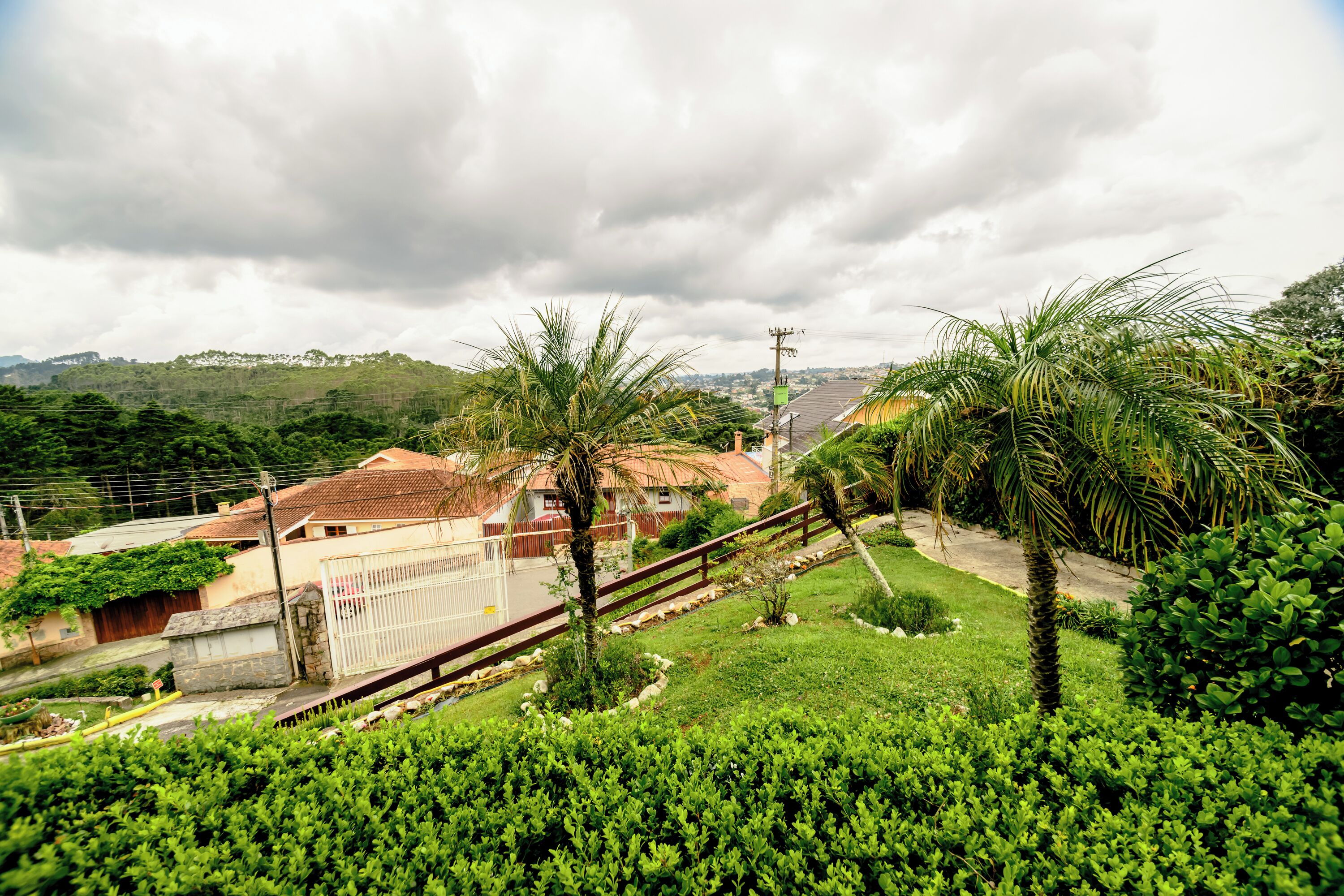 A residential area with houses, a paved road, and lush greenery.