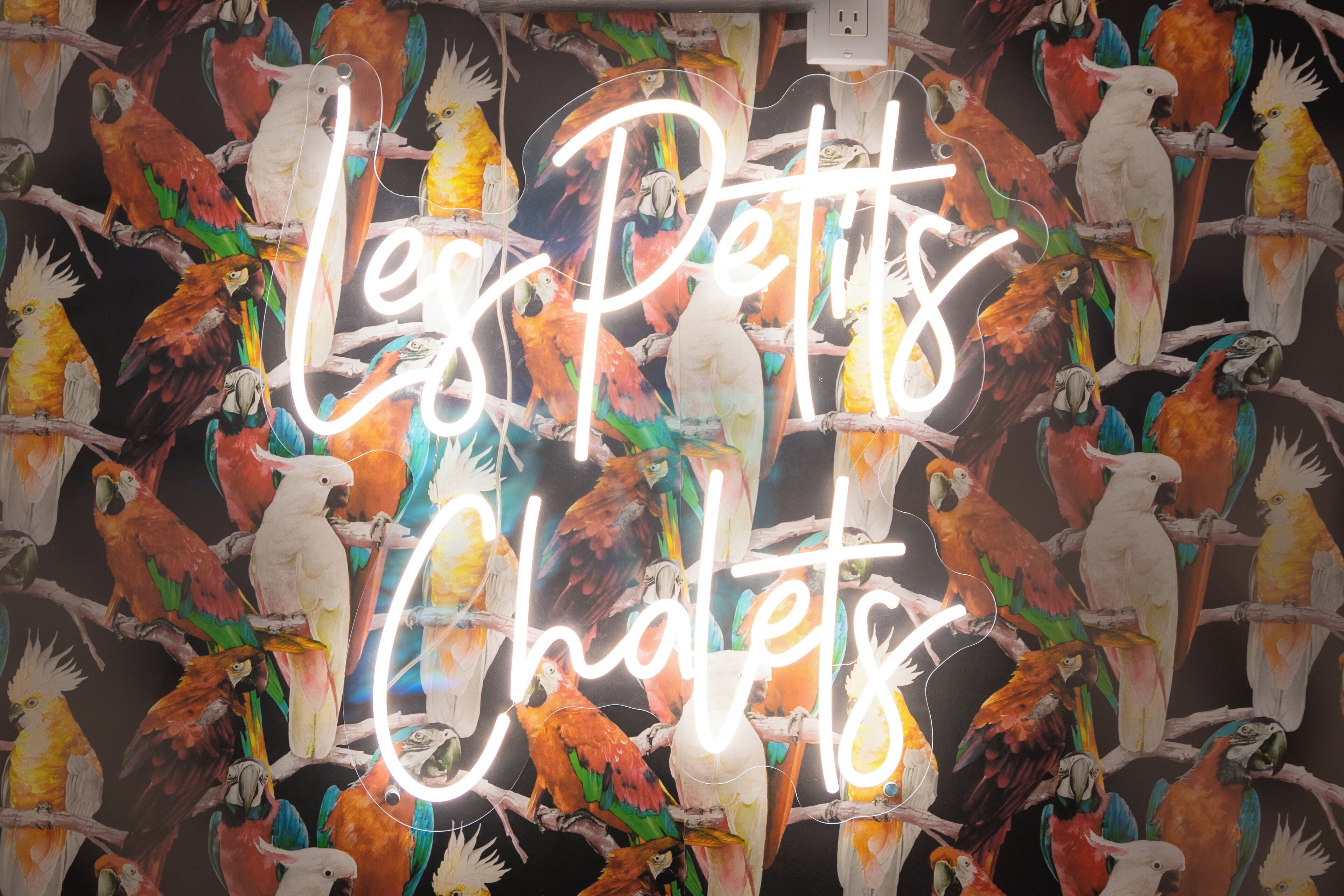 A neon sign with parrots and the text "Leg Petts Chalet".