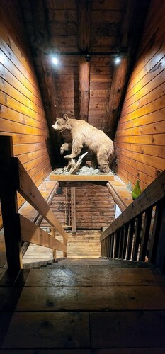Authentic Log Cabin in the Pocono Mountains