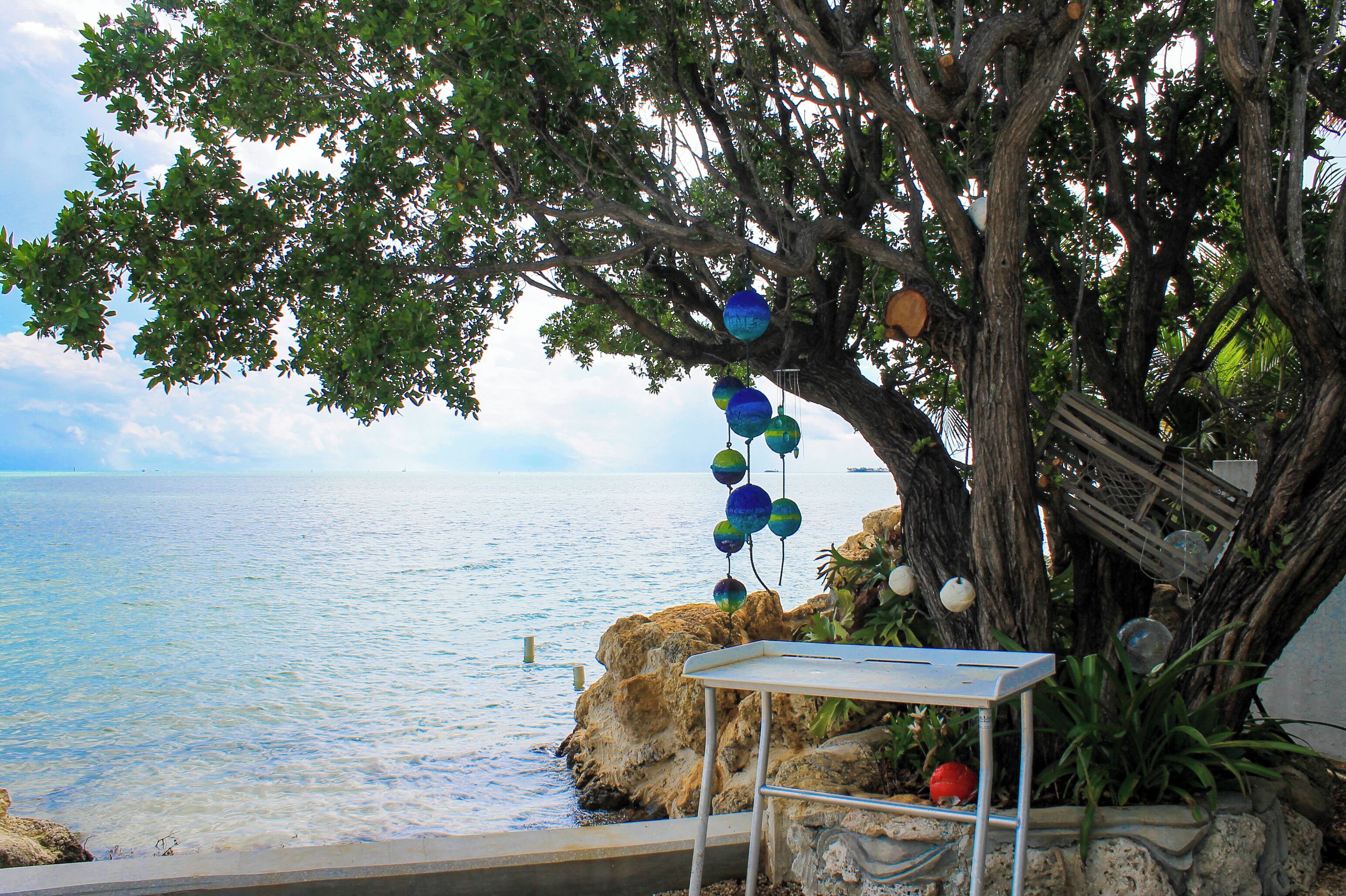 A seaside view with a tree decorated with balloons, a metal table, and a rocky shoreline.