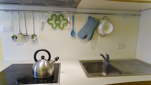 A kitchen with a kettle on an induction cooktop, a sink, and various utensils hanging on the wall. - House with pool near Verbania and Lake Maggiore (Cissano)