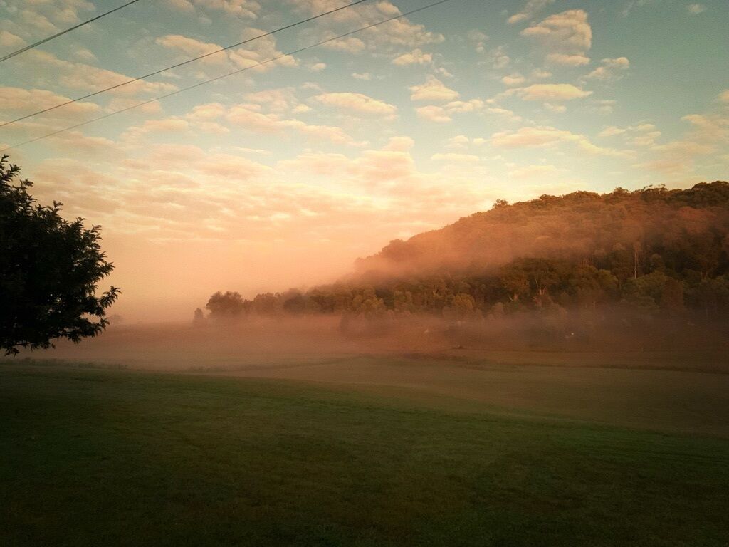 A misty landscape with a hill and a tree in the foreground.