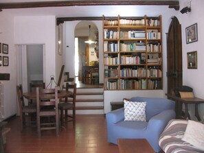 TV connectée, cheminée, livres