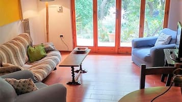 Smart TV, fireplace, books