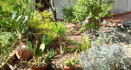 Peaceful 3BDR in the woods - 15-20min walk to the beach