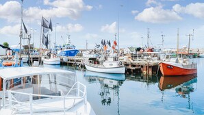 A marina with various boats docked, including a red boat with the number KA 75. - Stunning home in Sjællands Odde (Sjællands Odde)