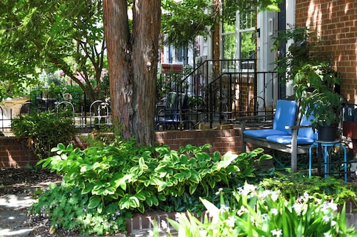 Spacious & Airy 1-BR near Eastern Mkt/Capitol