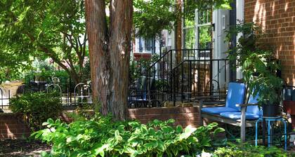 Spacious & Airy 1-BR near Eastern Mkt/Capitol