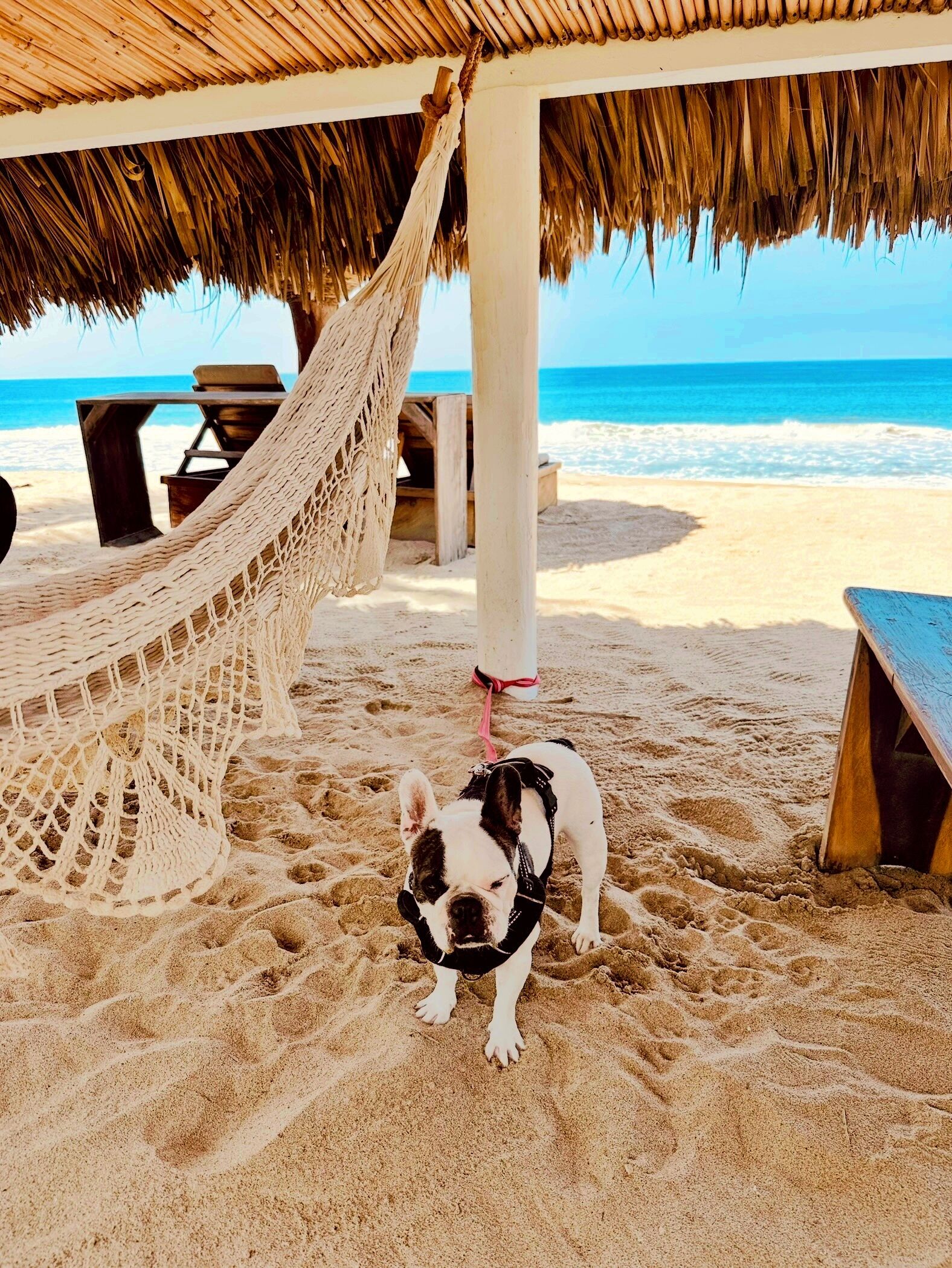 Foto - Boutique Punta Jamaica