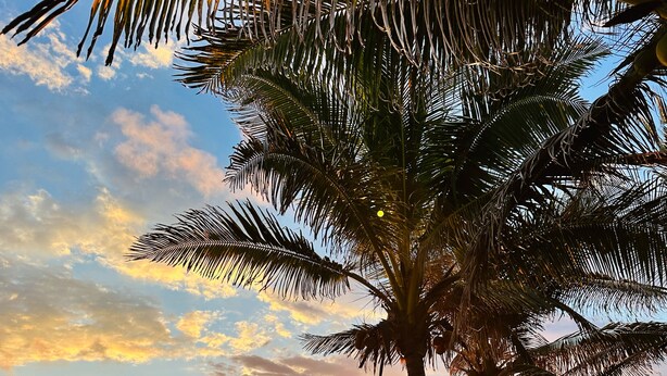 A beachside pavilion with a sunset view, palm trees, and a thatched-roof structure. - Hotel Boutique Punta Jamaica (Coyuca de Benitez)