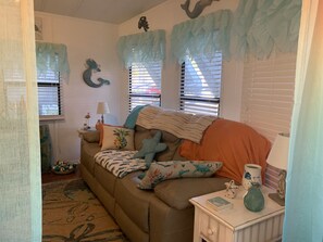 Smart TV, chimenea y libros 