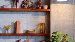 A wall with shelves displaying various decorative items, a floor lamp, and a large potted plant.