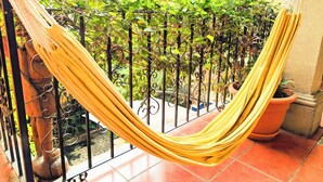 Eine Hängematte auf einem Balkon mit Blick auf Kübelpflanzen und ein Fliesenboden.