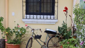 Ein Fahrrad steht neben einem Gebäude mit einem Fenster und Topfpflanzen.