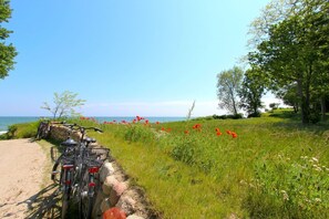 Beach - Beachfront apartment with terrace, use of swimming pool and sauna - Rex Rugia - Rex (Göhren)