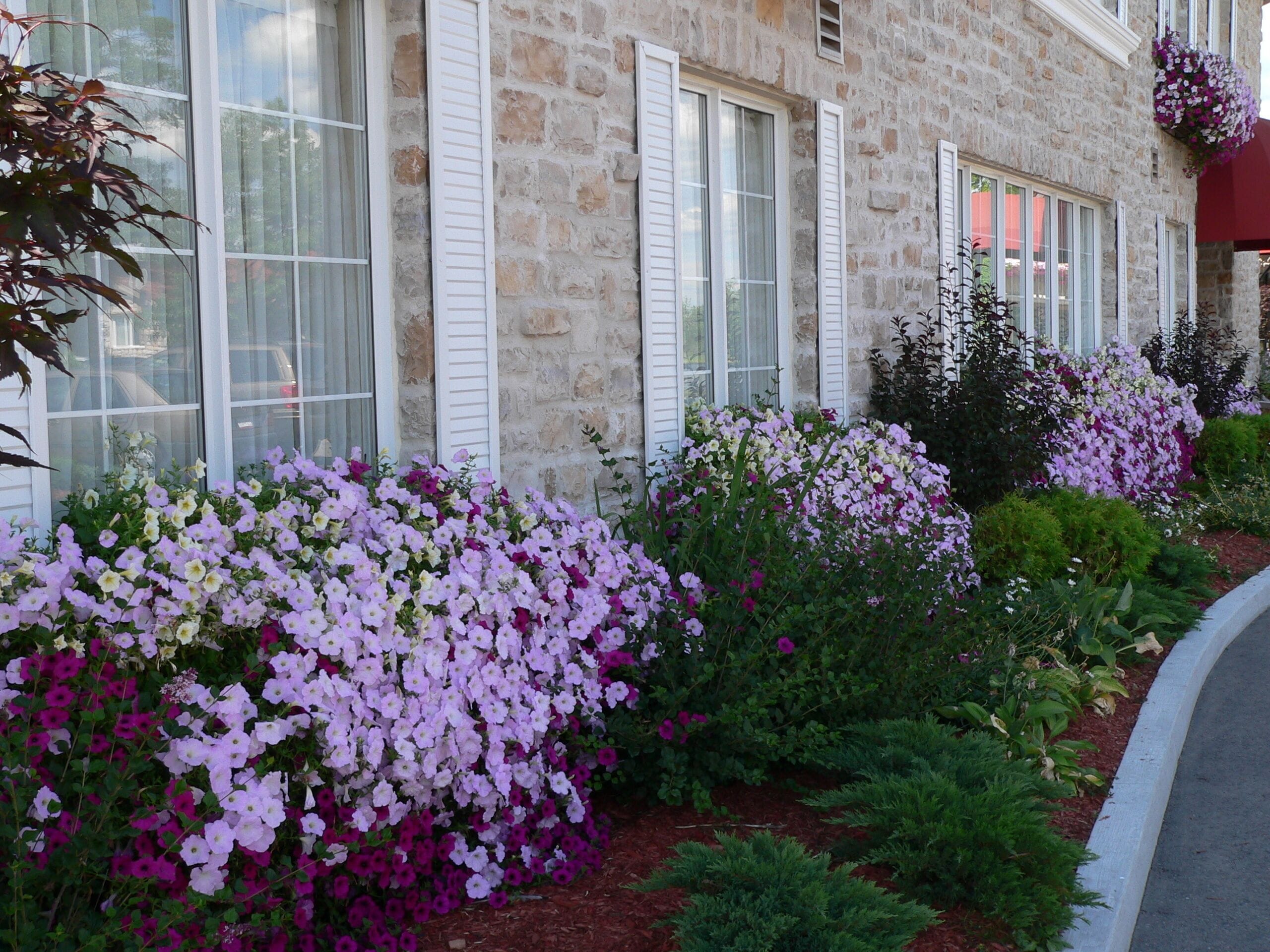 A stone building with white shutters, a garden with pink and purple flowers, and a red awning.