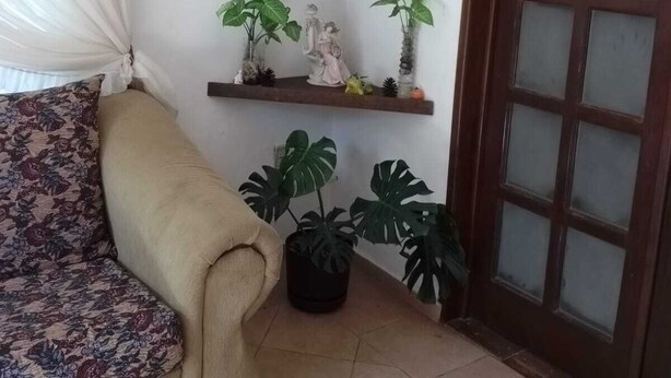Et hjørneværelse med en beige sofa, en blomstret pude, to tr æhylder med planter, en potte med monstera og en trædør med glasruder.