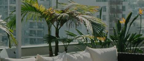 المنطقة المحيطة بالمنشأة