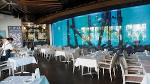 A restaurant with tables set for dining, a bartender, and an aquarium wall. - Healthy Living Centre (Cairns North)