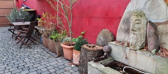 Holiday Home 'Amazing location on the Rhine River' with Garden, Terrace & Wi-Fi