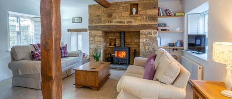 Televisión, chimenea y reproductor de DVD