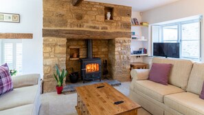 Televisión, chimenea y reproductor de DVD