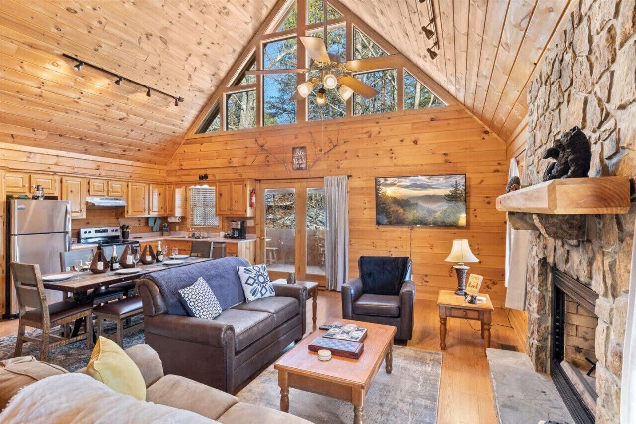 TV, fireplace, books, stereo