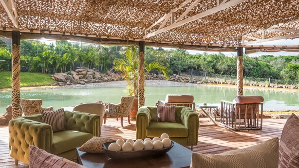 Un espacio al aire libre cubierto con sofás y sillones verdes, una mesa con un cuenco de huevos y vistas a un lago y vegetación.