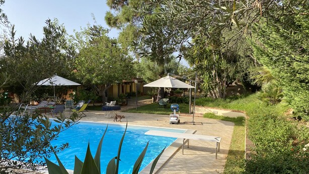 A swimming pool with lounge chairs and umbrellas, surrounded by greenery and a patio area.