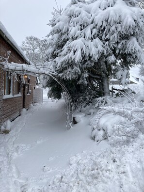 Terrein van de accommodatie