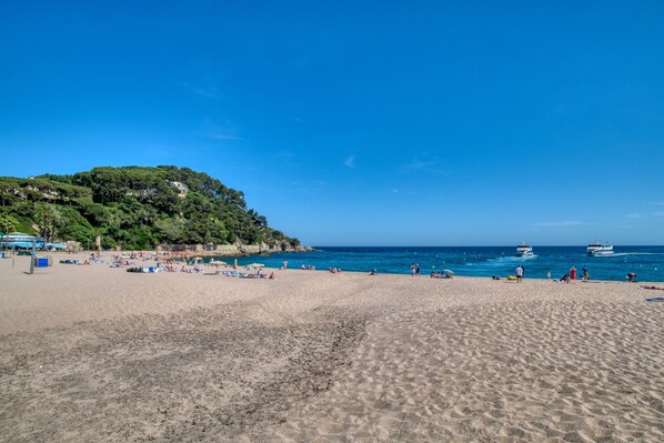 A beach with clear blue water, a sandy shore, and a hill with greenery.