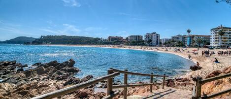 Playa en los alrededores