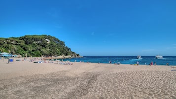 Playa en los alrededores