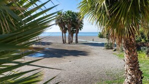A gravel beach with palm trees and a clear view of the ocean. - Apartment "Las góndolas playa" with sea views, shared pool and Wi-Fi (Almunecar)