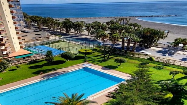 A hotel with a swimming pool, beach view, and palm trees. - Apartment "Las góndolas playa" with sea views, shared pool and Wi-Fi (Almunecar)
