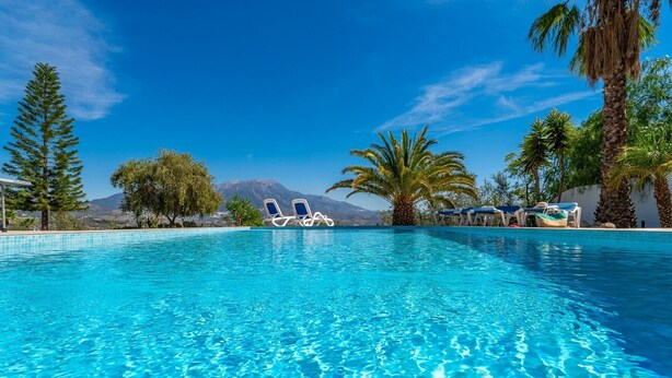 Une piscine d’un bleu éclatant, avec des chaises longues, des palmiers et une montagne en arrière-plan.