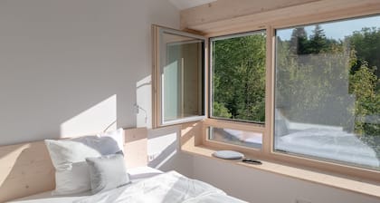 HAAUS