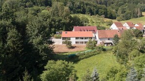 Zona residencial con casas rodeadas de un bosque denso.