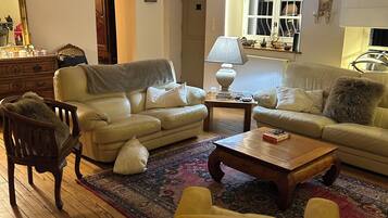 TV, fireplace, books